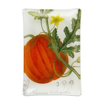 TAG TAG207484 Harvest Pumpkin Glass Plate