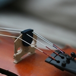 Mutes for String Instruments
