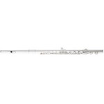 Flute Rental, $16.99-$29.99 per month