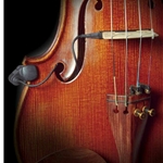 The Realist RLSTVOQT Realist Copperhead Pickup for Viola