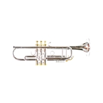 Accent TR931S-T Artist Trumpet, Reverse Leadpipe, Silver/Gold