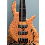 Used Elrick E-Volution 5-String Fretless Electric Bass Guitar