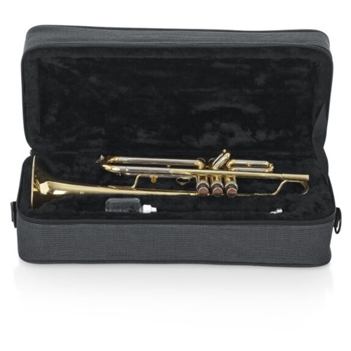 Beacock Music - Flute Rental, $16.99-$29.99 per month