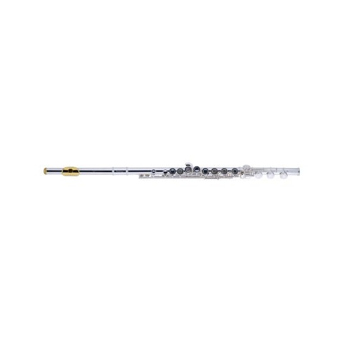 Armstrong 800BEF Flute with Gold Lip, Splie E, B Foot, Offset G