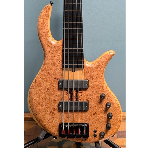 Used Elrick E-Volution 5-String Fretless Electric Bass Guitar