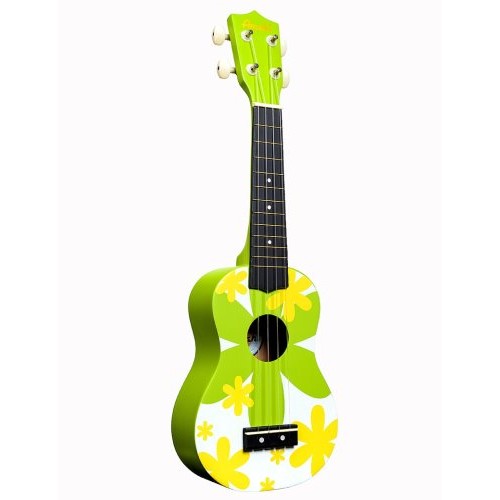 Amahi DDUK6 Tropical Series Soprano Ukulele, Green Flower