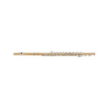 Beacock Music - Flute Rental, $16.99-$29.99 per month